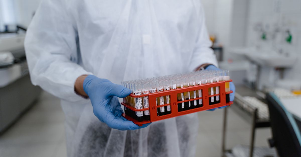 Molbio Diagnostics' IPO: A High-Risk Opportunity for Investors