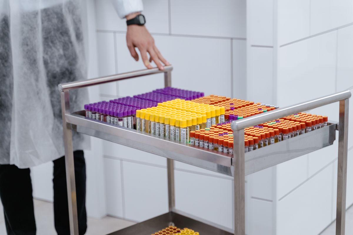 Laboratory samples arranged in test tube racks