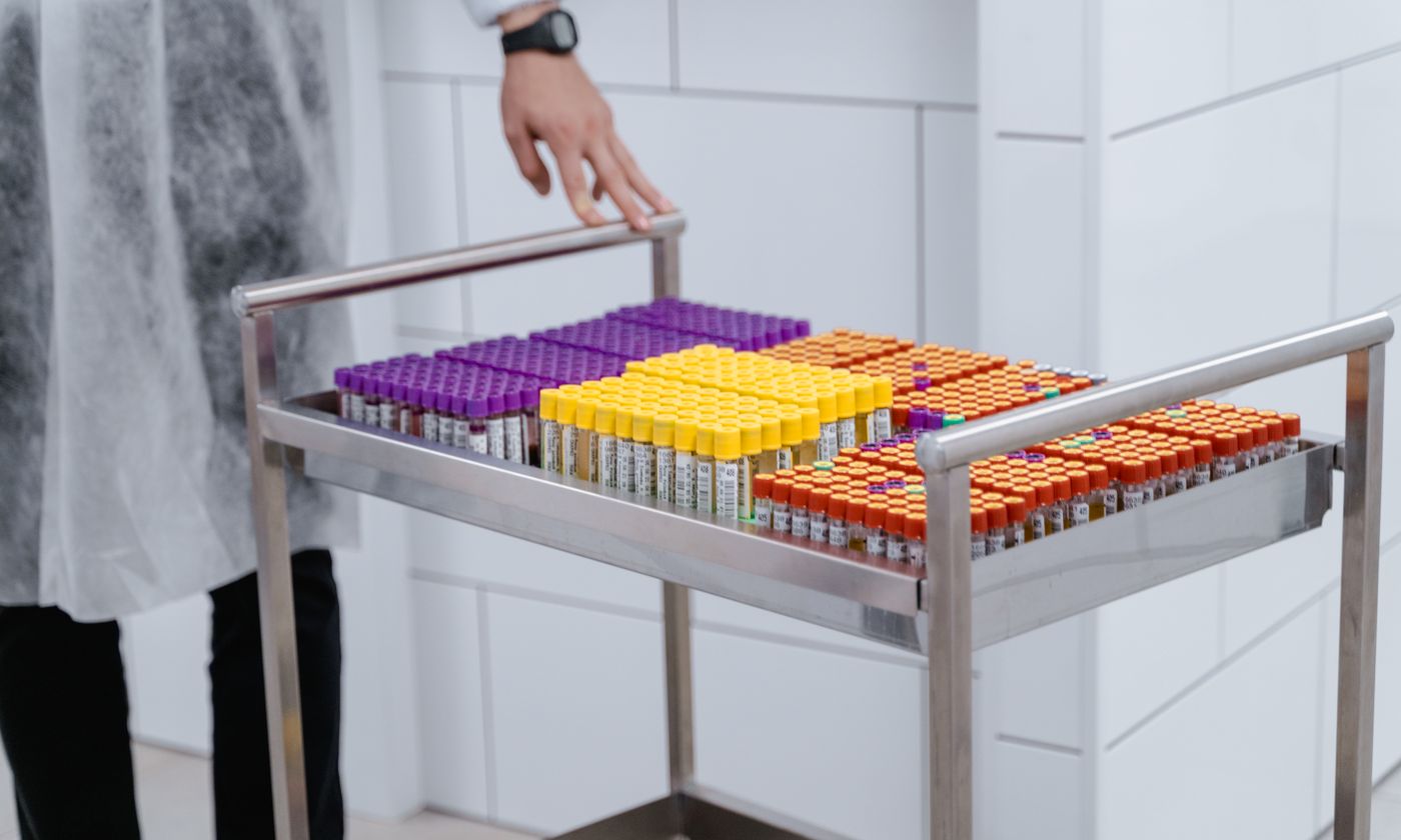 Organized test samples arranged on laboratory racks