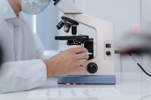 Técnico por Competência em Análises Clínicas