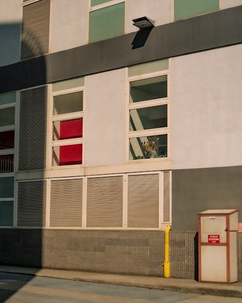 White and Red Concrete Building