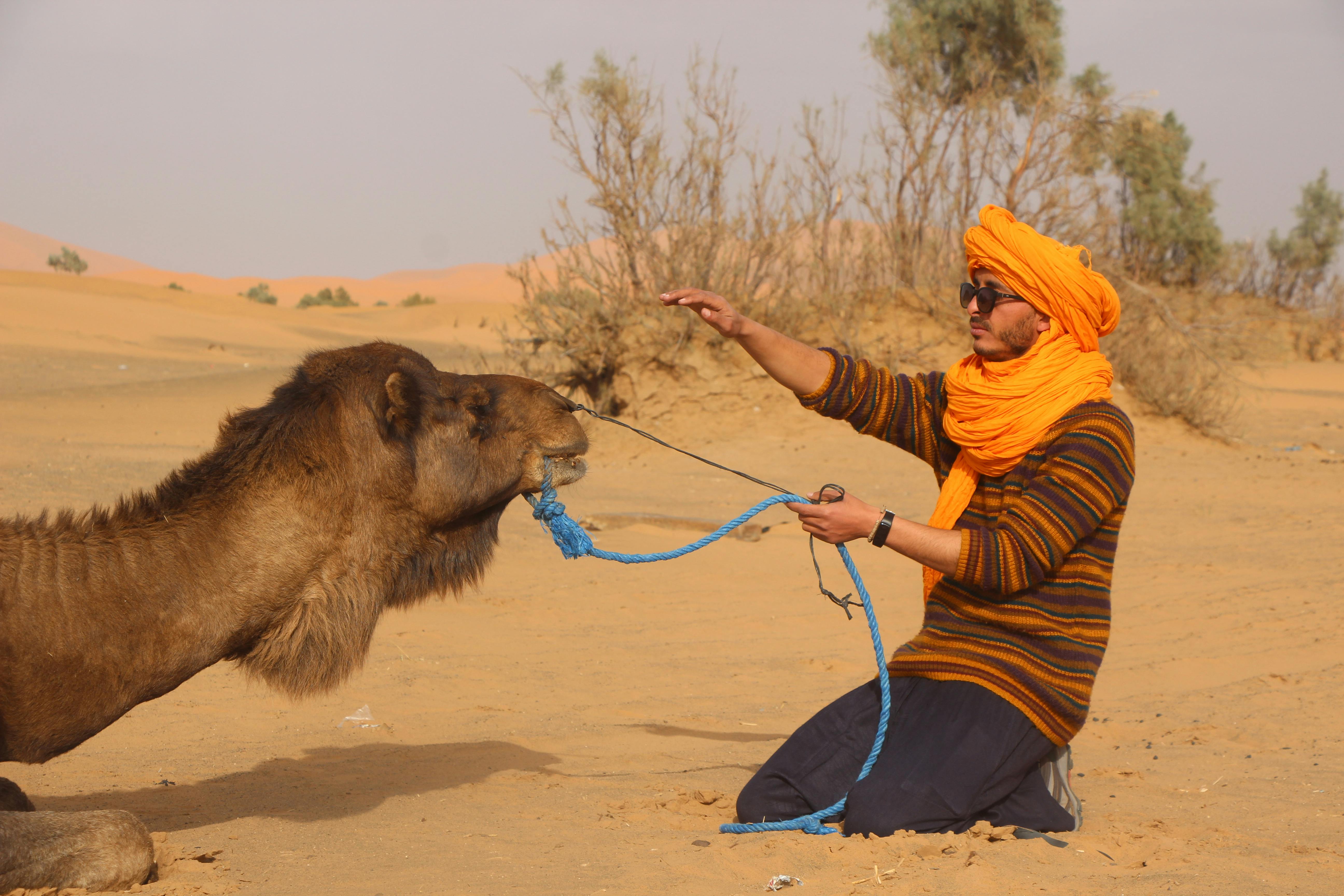 Man Sitting on the Ground with a Camel