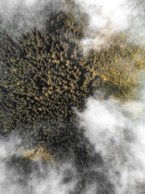 Free Stunning aerial view of a dense forest in Ilmenau, Germany with clouds shrouding the trees. Stock Photo