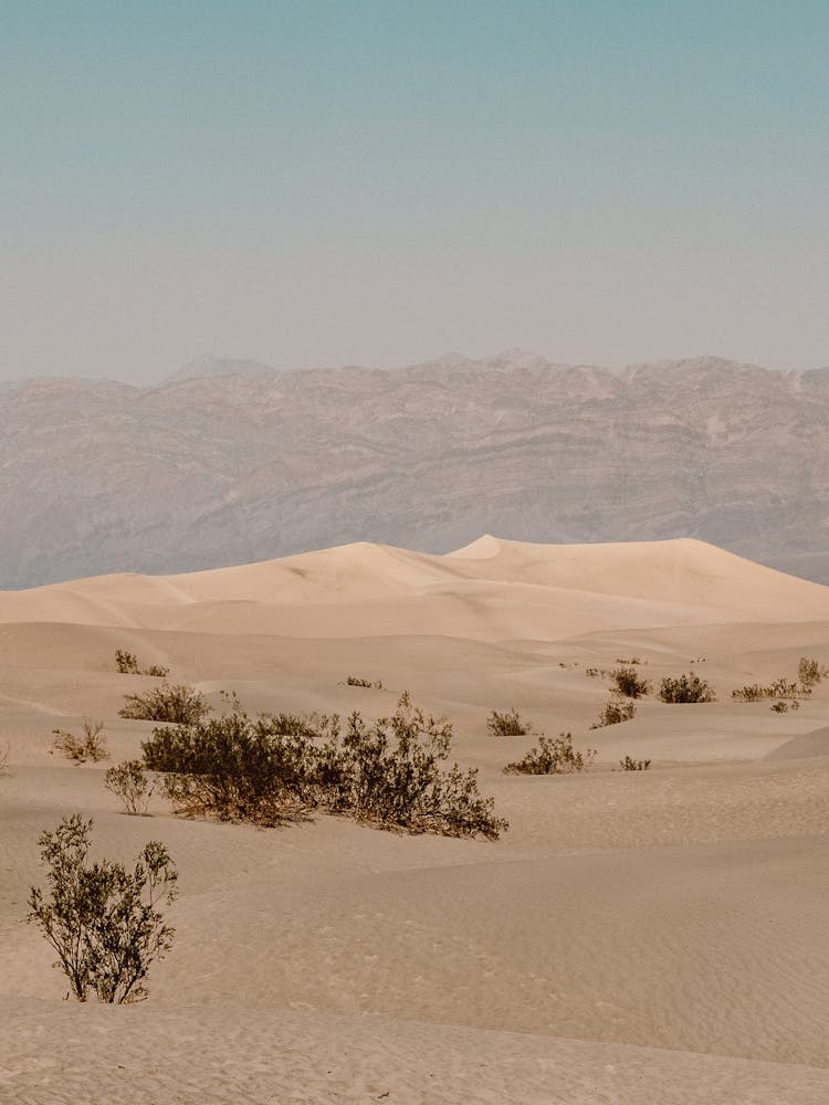 Death Valley National Park, Nevada, United States