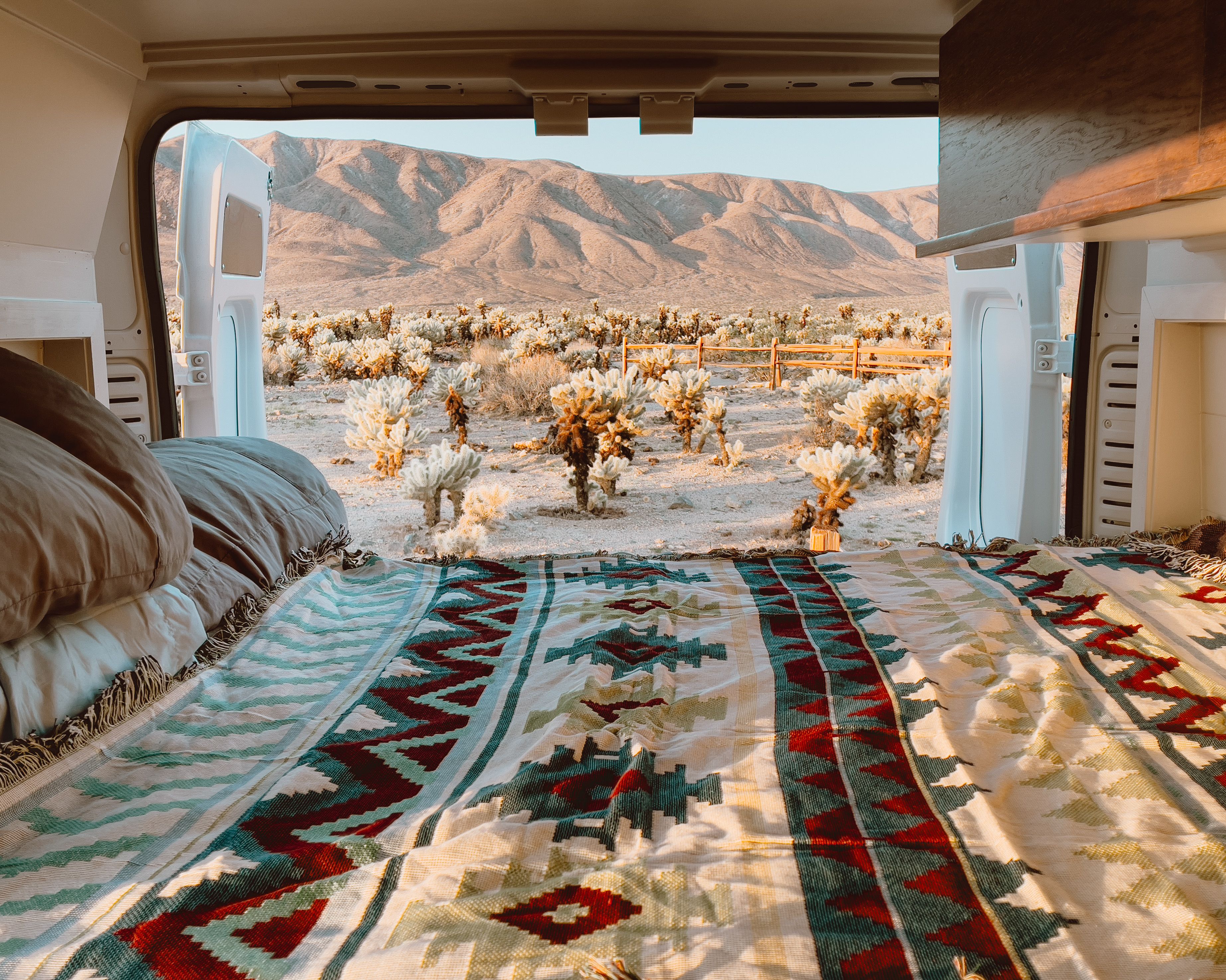 View from a camper van bed overlooking a scenic desert landscape with cacti.