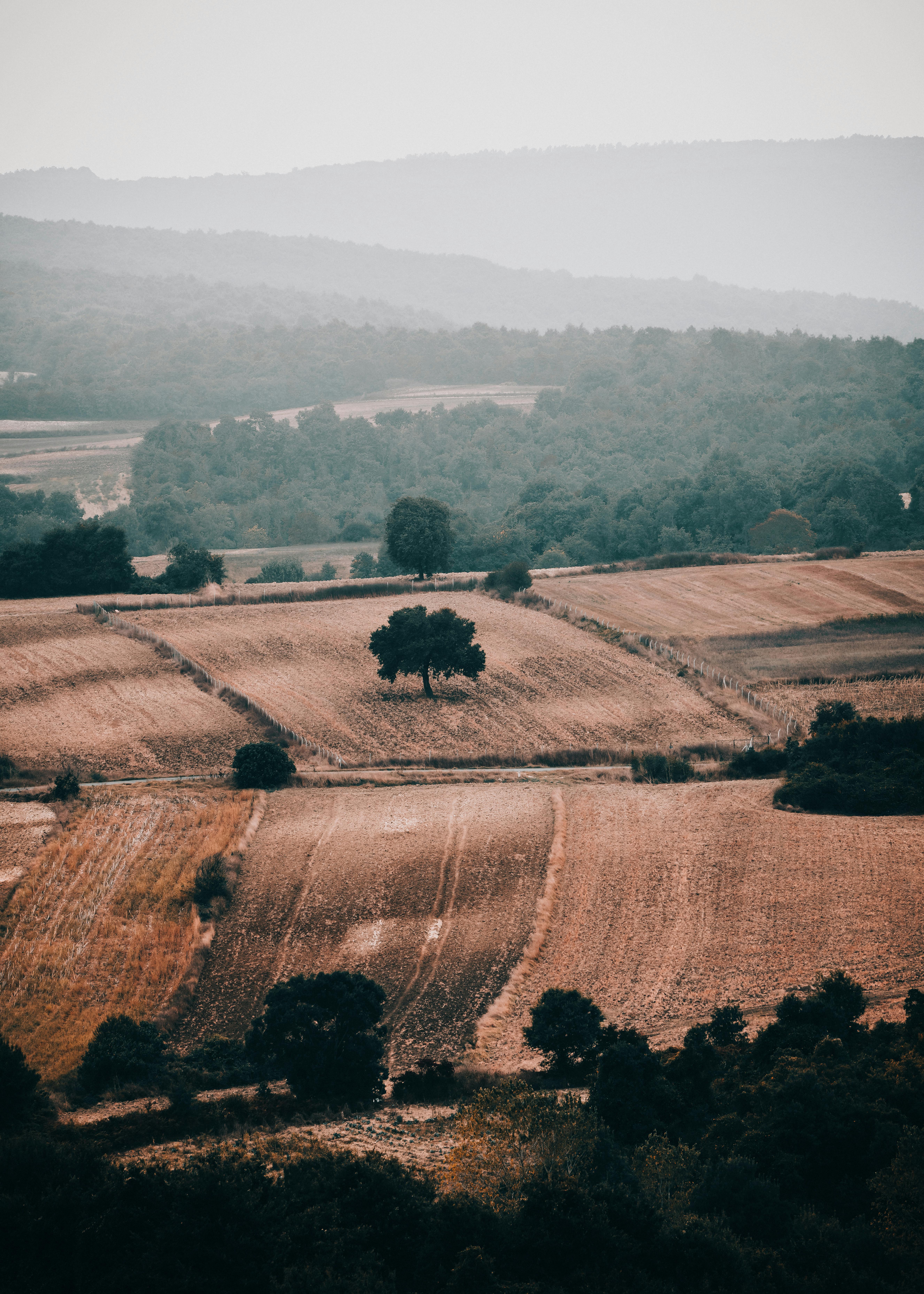 Breathtaking aerial shot of countryside farmland showcasing expansive croplands and vibrant nature.
