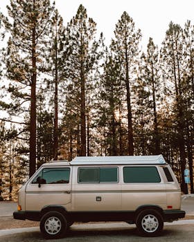 A classic vintage van parked among tall pine trees in a serene forest setting.