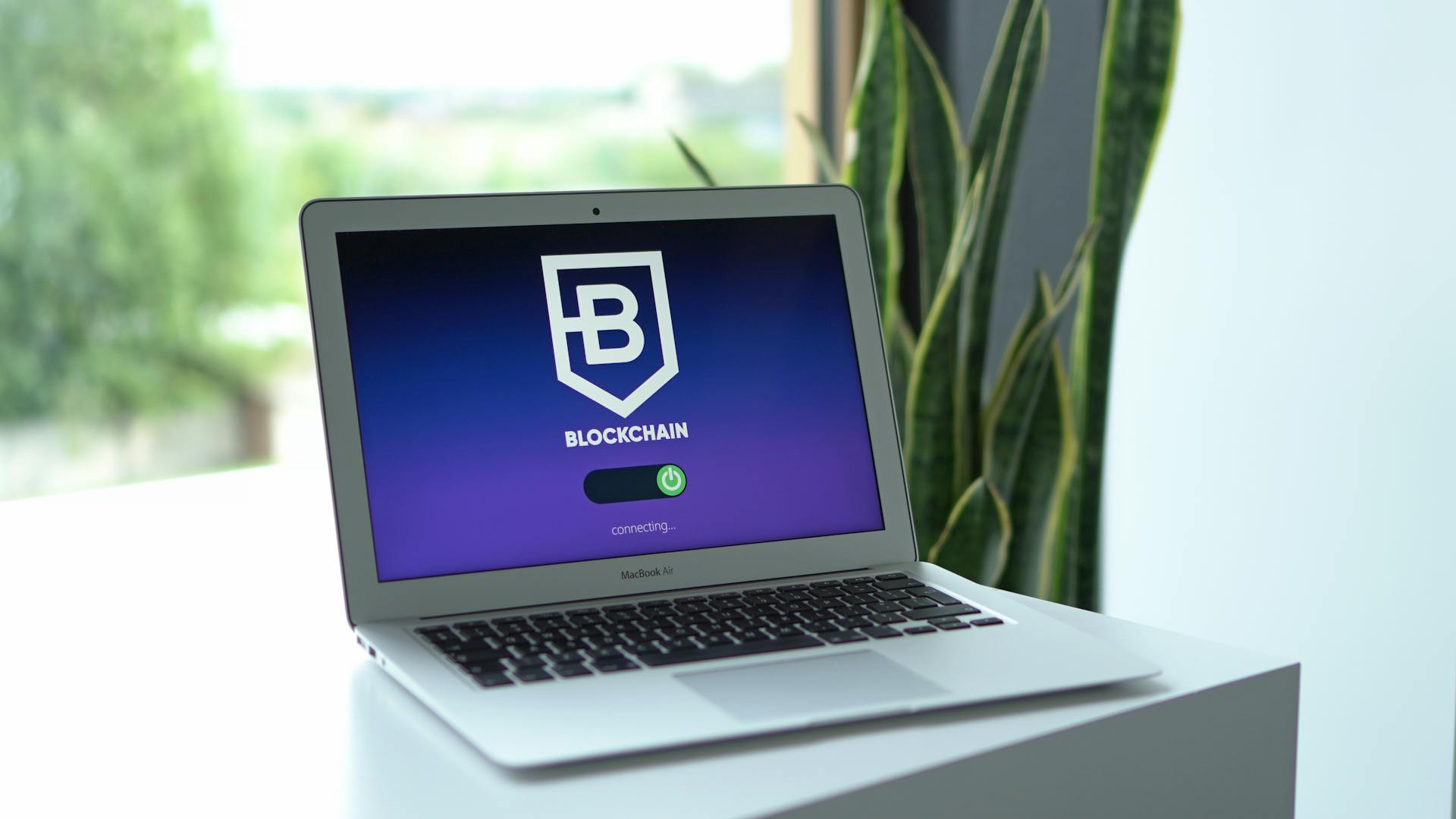 Close-up of a laptop displaying blockchain connection interface indoors, with a potted plant nearby.