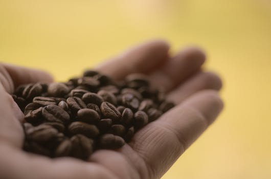Close-up of a hand holding fresh roasted coffee beans with blurred background.