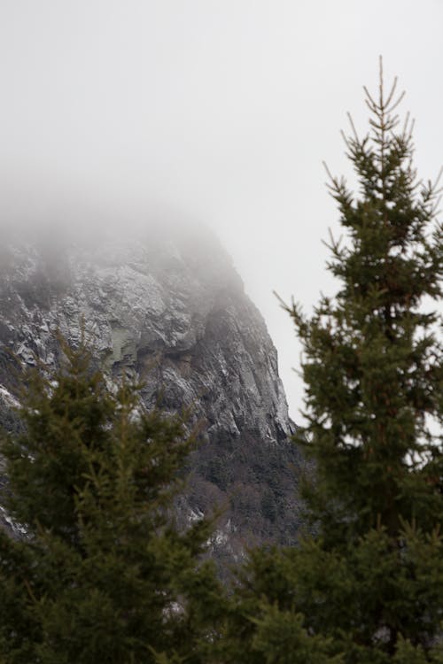 Free Mountain Under Fog Stock Photo