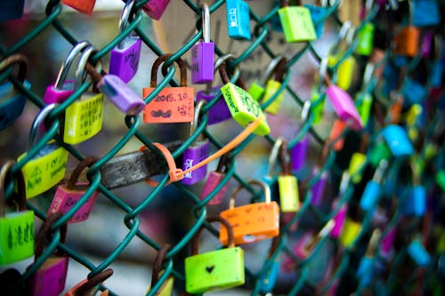 Green Chain-link Fence With Assorted-color Padlocks