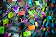 Green Chain-link Fence With Assorted-color Padlocks