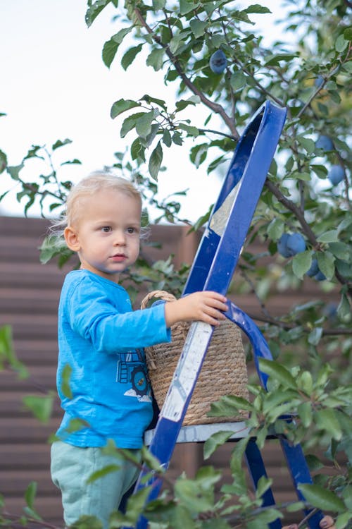 Boy in Blue Long Sleeve Shirt Standing on a Blue Ladder