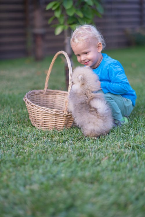 Young Boy looking at a Puppy 