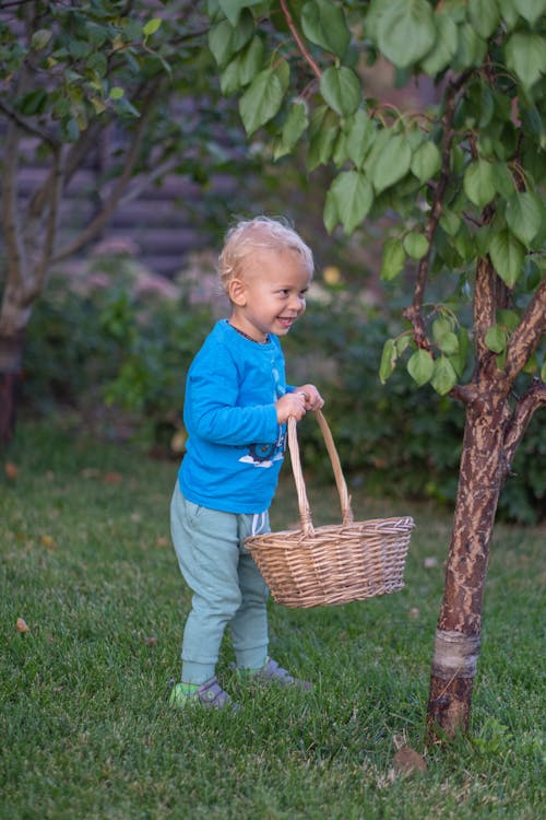 Free A Boy in Blue Sweater Holding a Woven Basket Stock Photo
