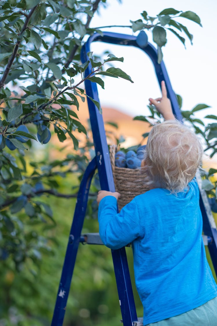 A Young Kid Climbing On A Ladder