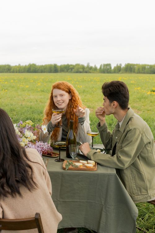 Free Group of friends sharing a joyful picnic in a lush green field, enjoying wine and snacks. Stock Photo