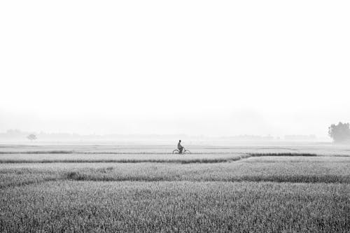 Gratis stockfoto met akkerland, fiets, grayscale