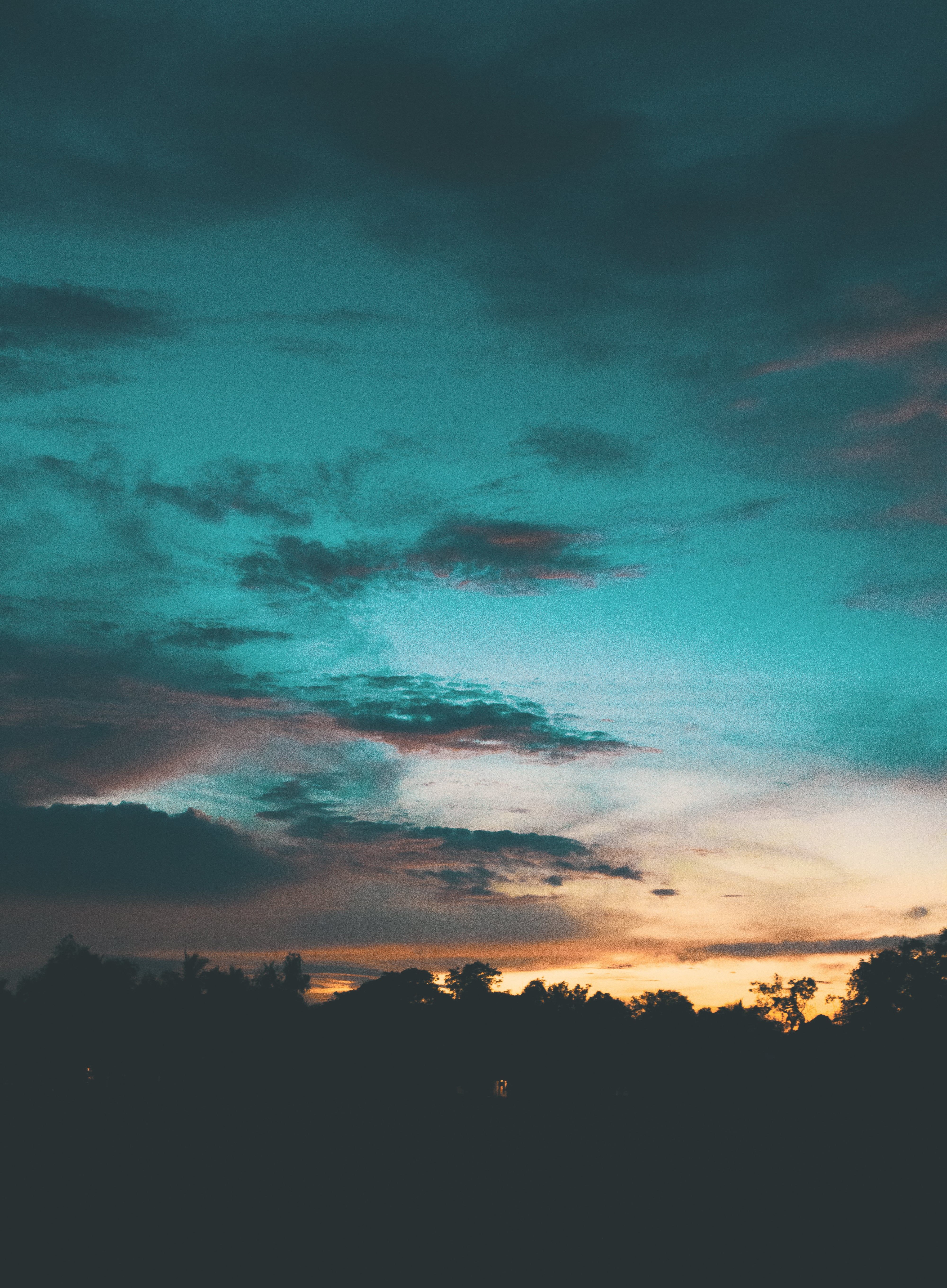 Silhouette of Trees Under Cloudy Sky during Sunset · Free Stock Photo