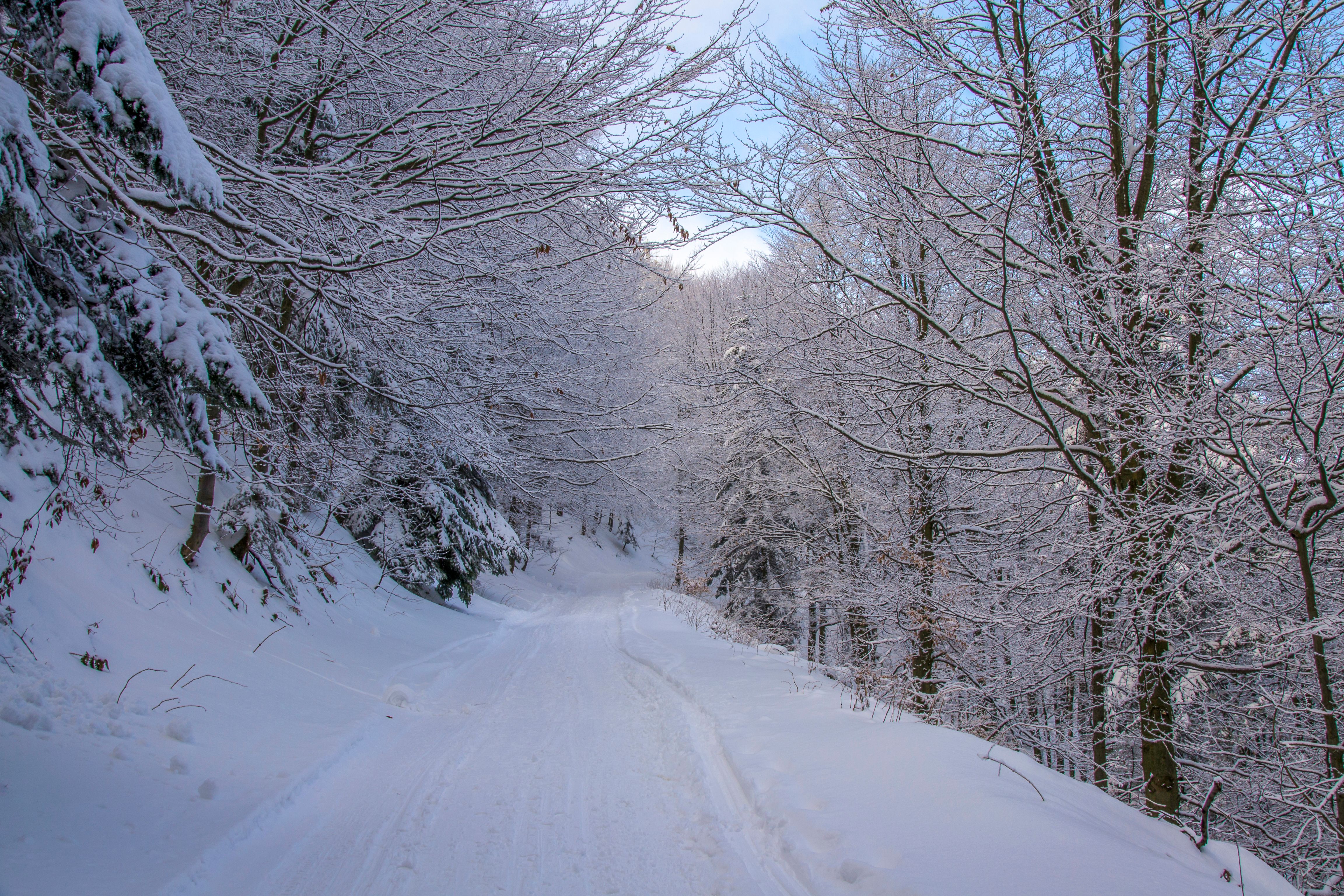 January Snow Photos, Download The BEST Free January Snow Stock Photos ...