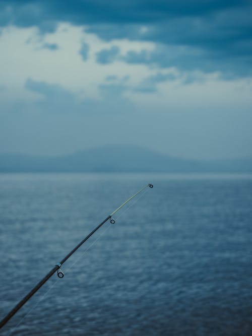 Free Black Fishing Rod in Close Up Photography Stock Photo