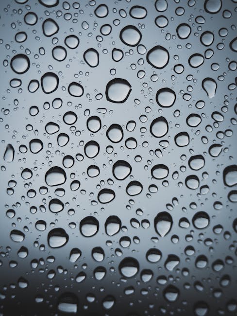 Water Drop Photo · Free Stock Photo