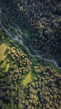 Stunning aerial view of a dense green forest with a river flowing through it, showcasing nature's beauty.