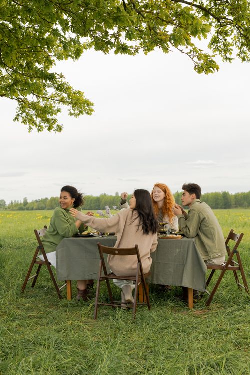 Free Friends enjoying a picnic in a grassy field, seated around a table under the trees. Stock Photo