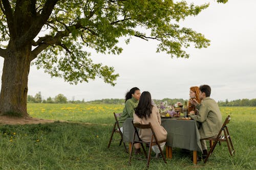 A Group of Friends Sitting on a Wooden Chair at the Field while Having Conversation