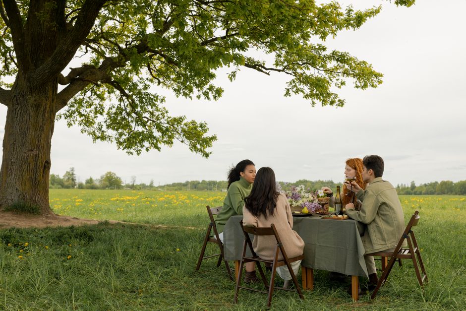 friends dining together at a scenic outdoor table friends dining together at a scenic outdoor table