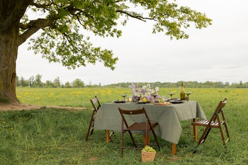 Kostnadsfri bild av bord, dining, fokusera på förgrunden