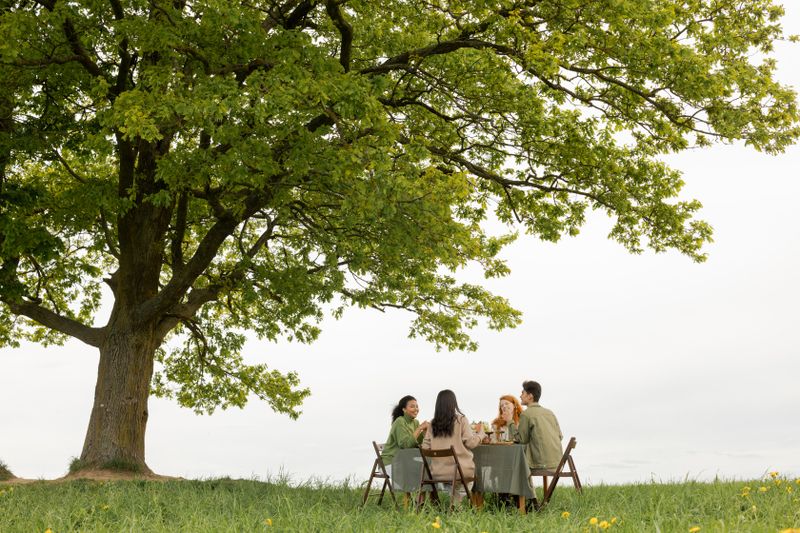Outdoor dining setup under a large garden tree