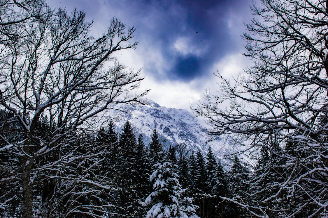 Photos gratuites de allemagne, bayern, couvert de neige