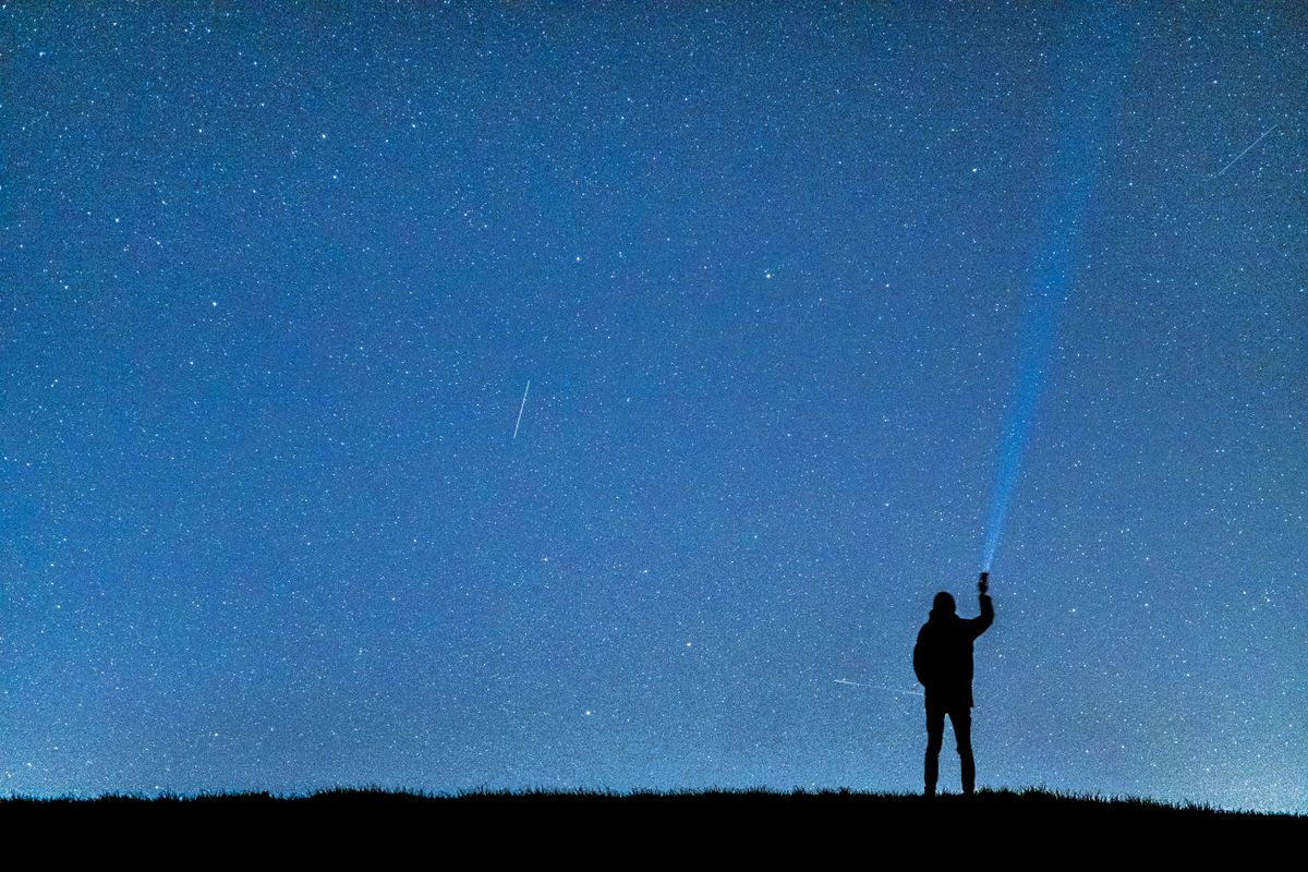 Back View of a Man Standing with a Flashlight under a Starry Night Sky ...