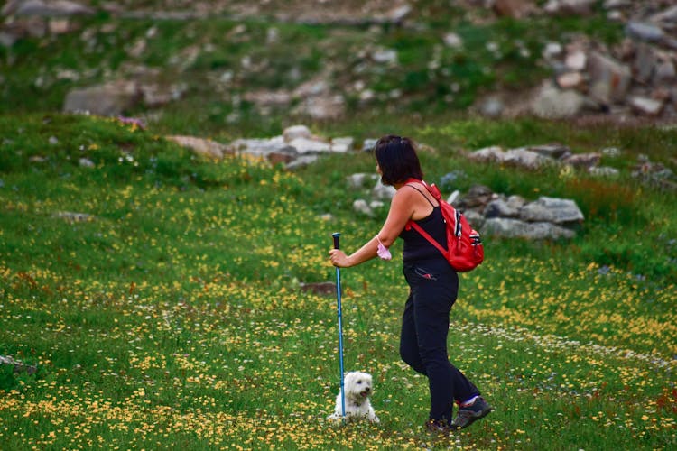 Woman Hiking With Dog