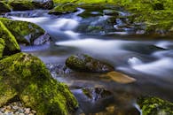 一条宁静的小溪，长满苔藓的石头和轻轻流动的水，勾勒出静谧的自然景象
