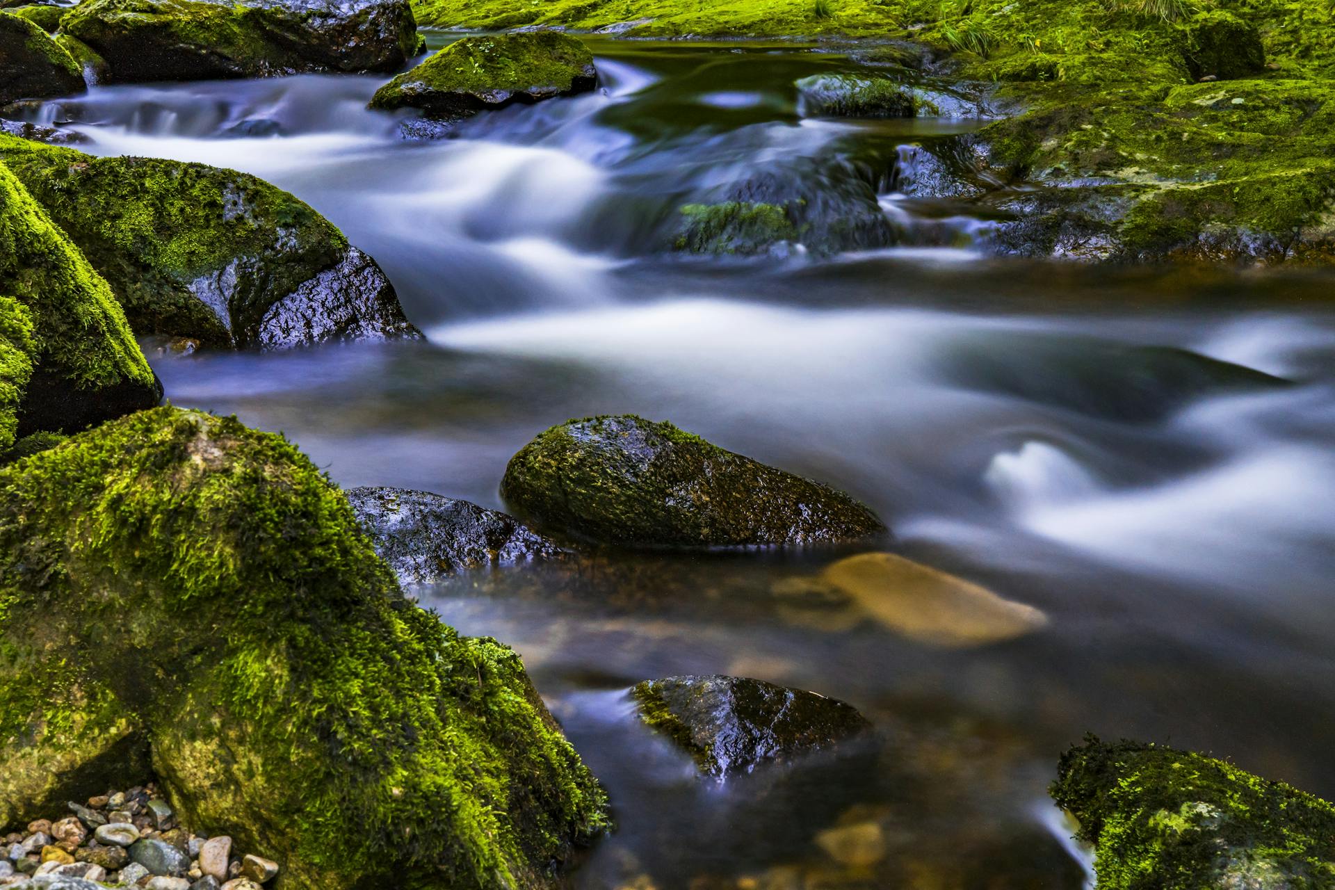 A serene creek with moss-covered stones and gently flowing water, capturing a tranquil natural scene.