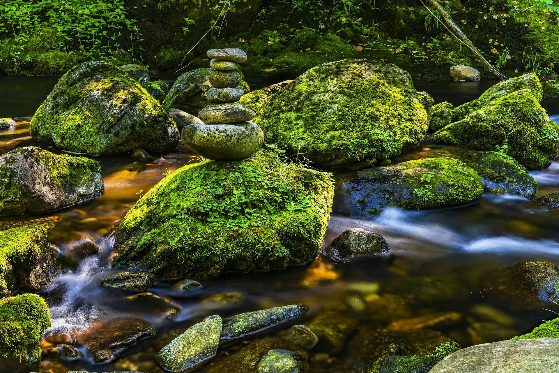 Mossy rocks balanced by a gently flowing creek in a lush green forest setting.