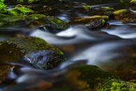 长时间在长满苔藓的岩石上，溪流宁静地流淌