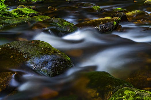 长时间在长满苔藓的岩石上，溪流宁静地流淌
