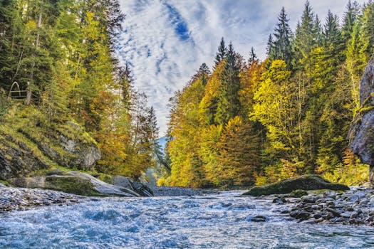 一条风景优美的河流流经巴伐利亚森林，穿过充满活力的秋叶，捕捉到大自然的美丽