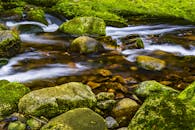 宁静的溪流穿过郁郁葱葱的森林，溪水清澈，露出长满苔藓的岩石