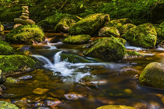 宁静的森林溪流、苔藓覆盖的岩石和平衡的石头共同象征着大自然的和谐