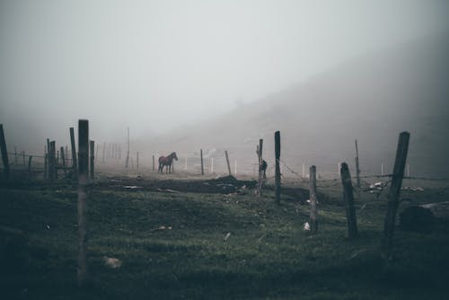Gratis stockfoto met bewolkte dag, mist, natuur