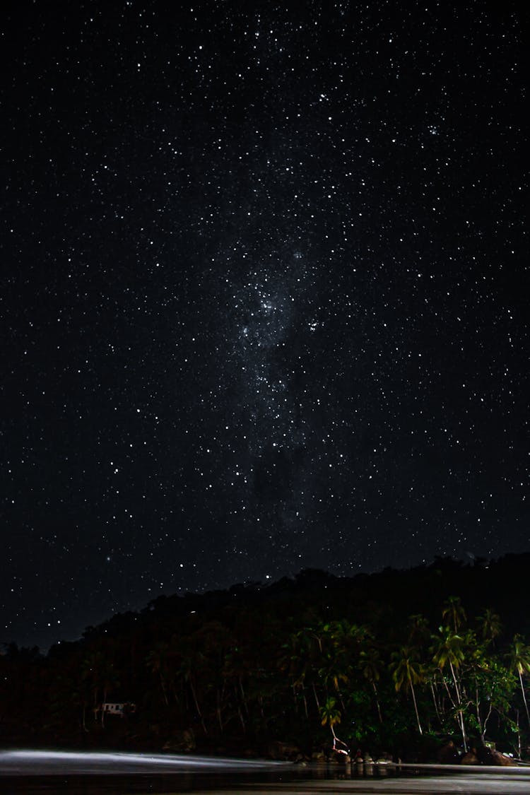 Beach Under A Starry Sky