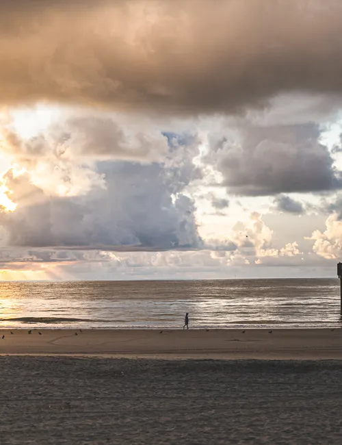 Coastal Escapes: The Ultimate Guide to the Best Beaches Near Savannah, Georgia