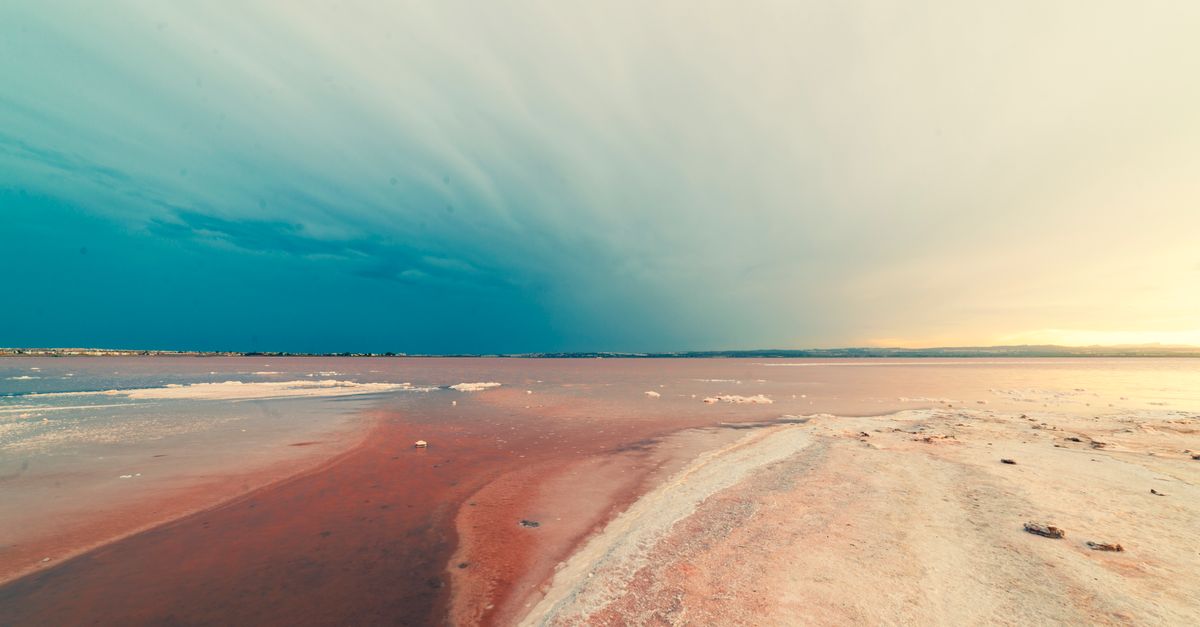 Les activités incontournables pour des vacances inoubliables