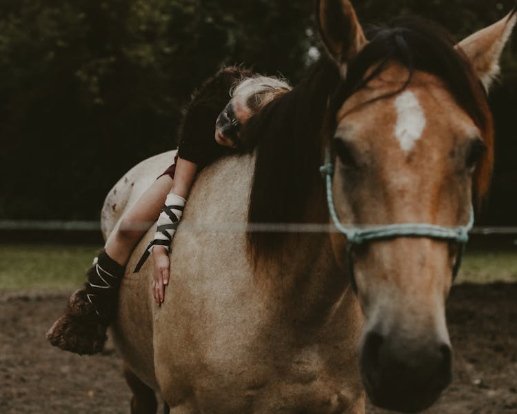 A Kid Riding A Horse