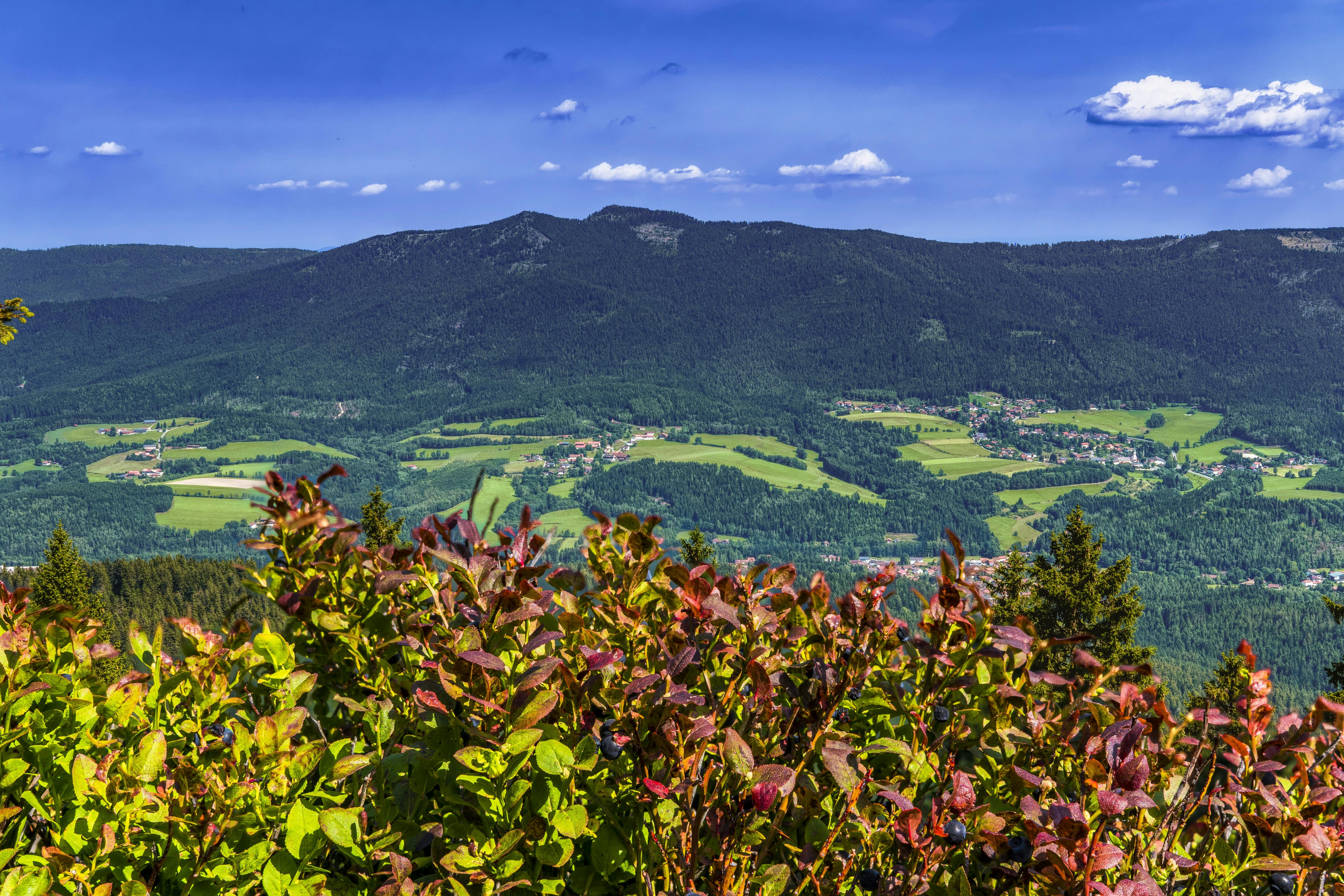 Free stock photo of away, Bavaria, bavarian forest