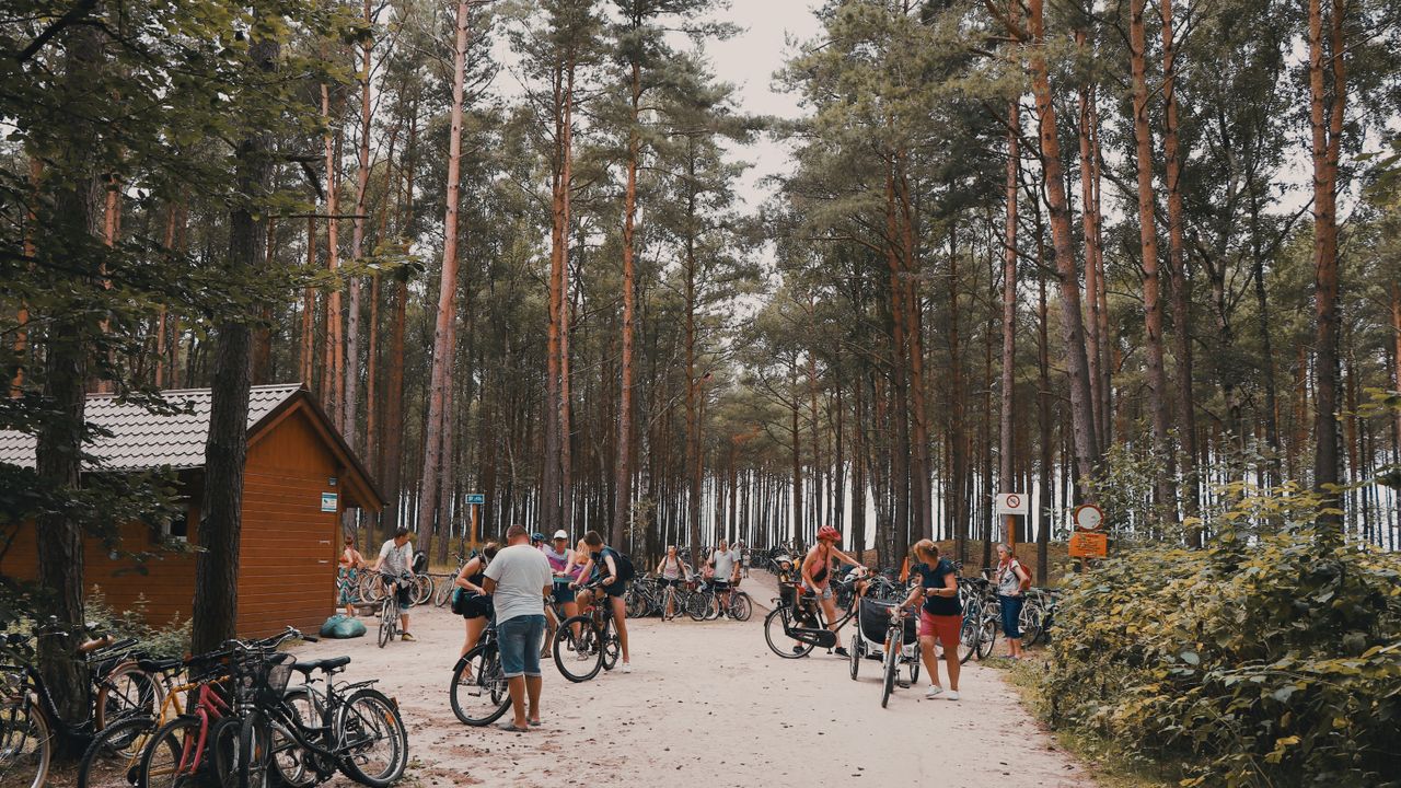 Stock photograph setting the scene for the Center Parcs guide